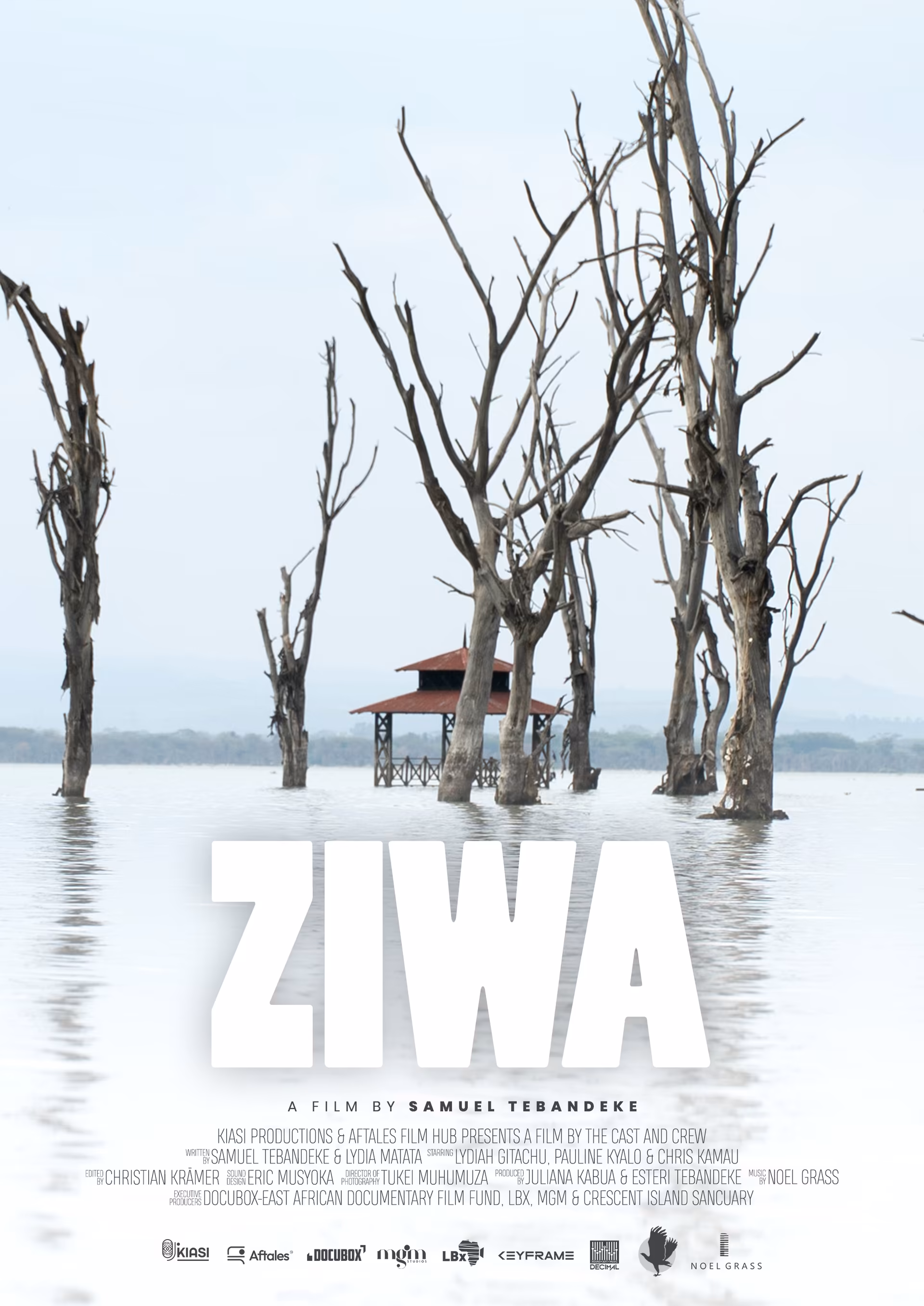 Ziwa poster
